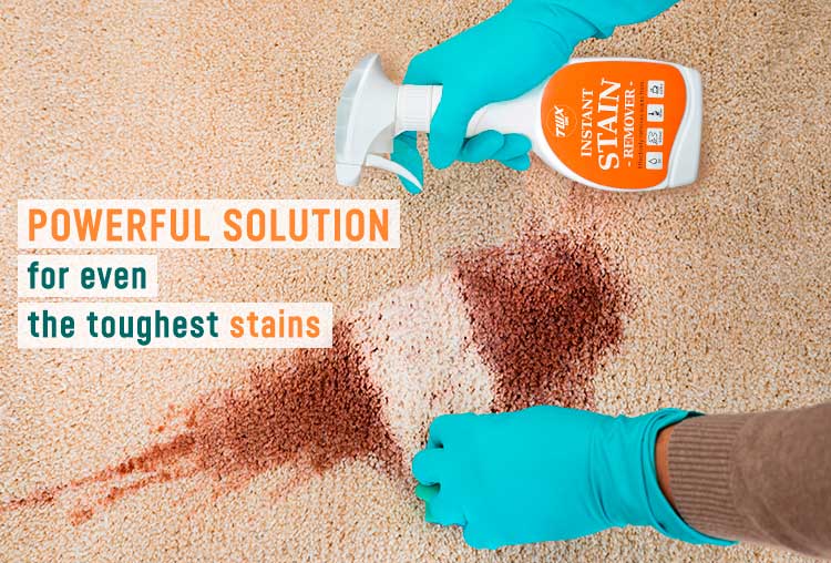 TWX® Home Instant Stain Remover TWX® Home Instant Stain Remover