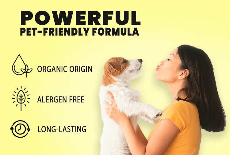 TWX® Home Pet Odor & Stain Eliminator TWX® Home Pet Odor & Stain Eliminator